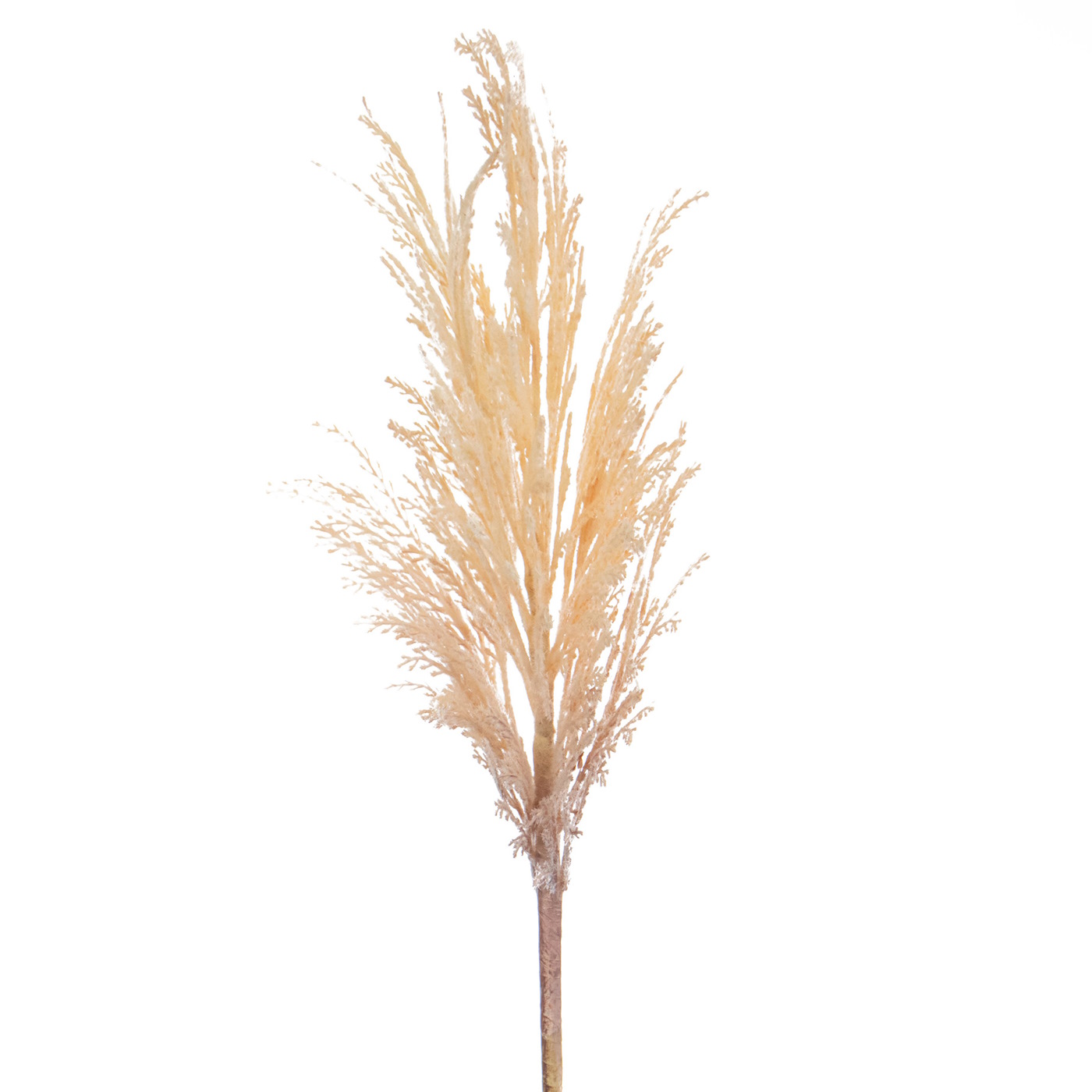81cm Foliage Reed Dried Spray