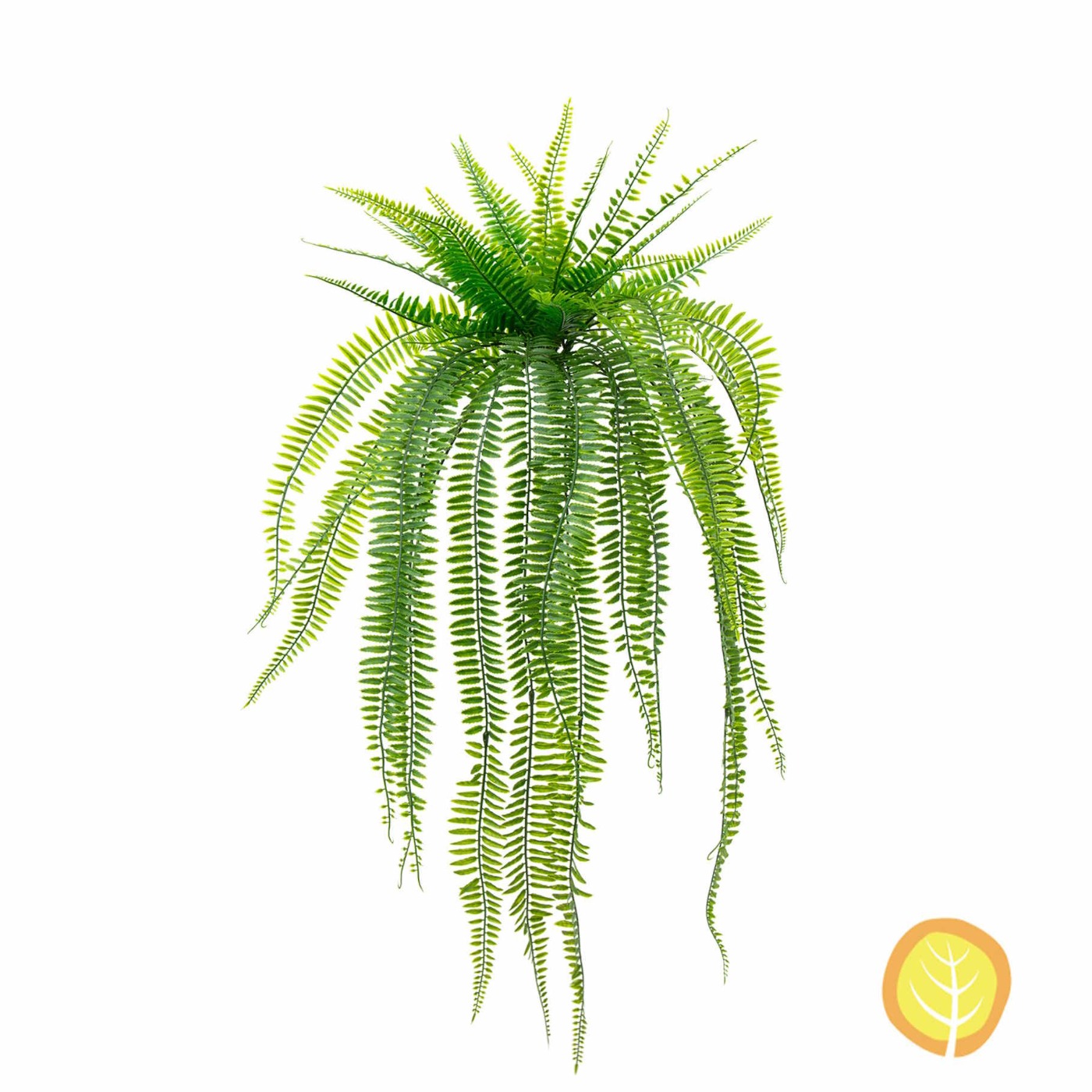 65cm Plants Boston Fern (UV Resistant)