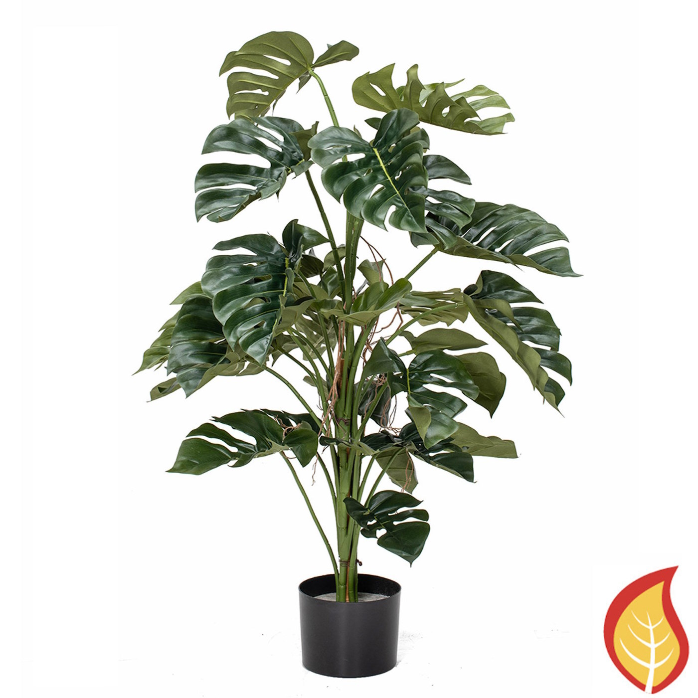 4ft (120cm) Monstera (Fire Resistant)
