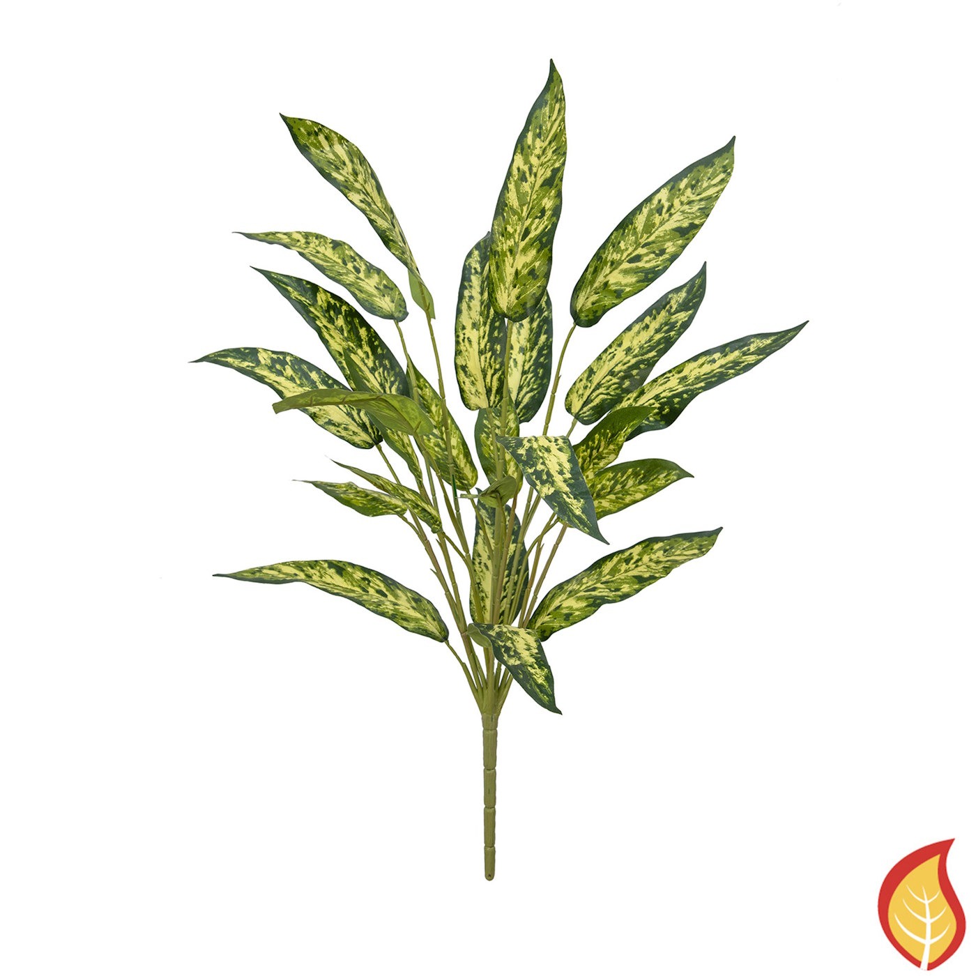 65cm Plants Aglaonema (Fire Resistant)