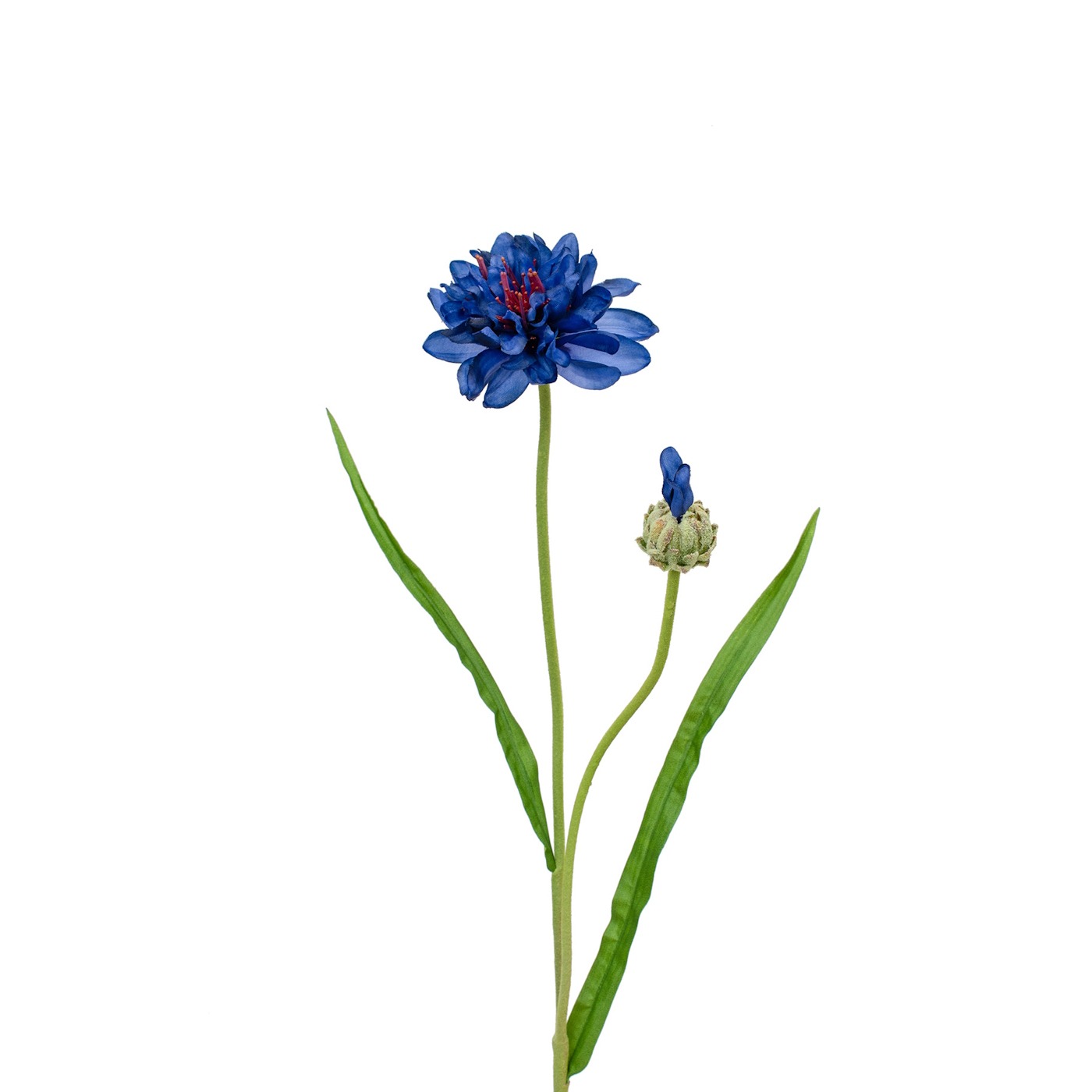 65cm Corn Flower Blue