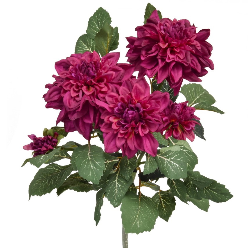 55cm (1.8ft) Flowering Dahlia - Fuchsia