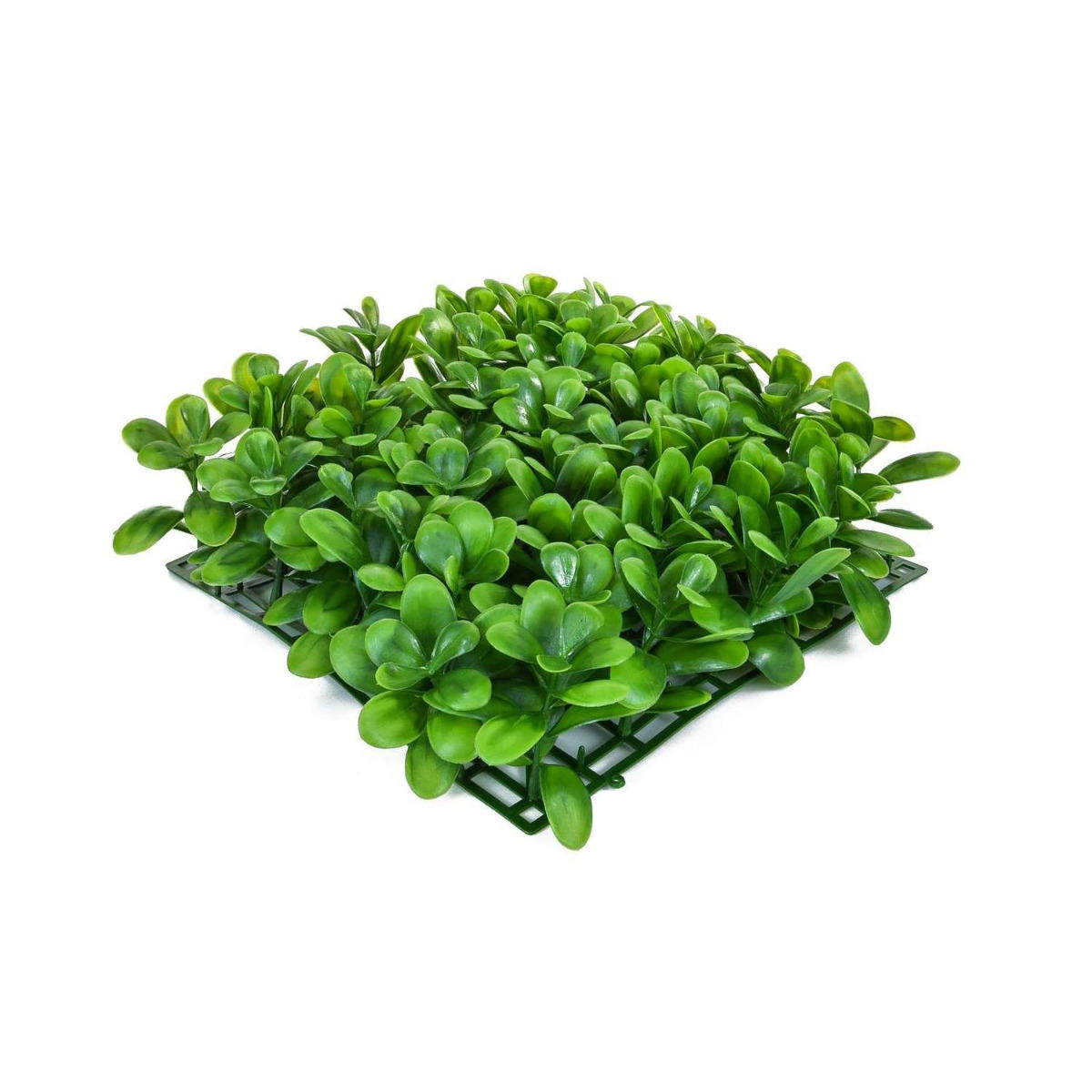 25cm x 25cm Topiary Mat "Giant Boxwood / Buxus" - Outdoor