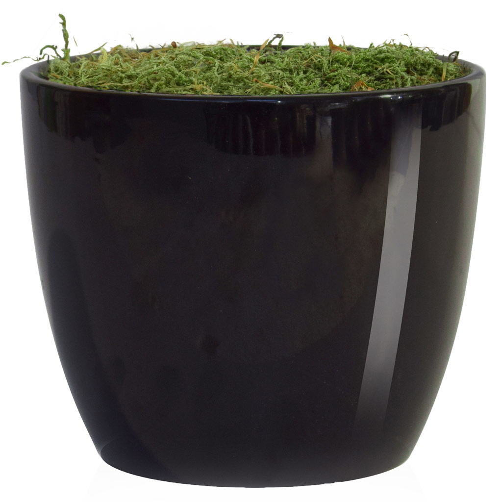 V-Pot N-Ceramic - Black (11cm)
