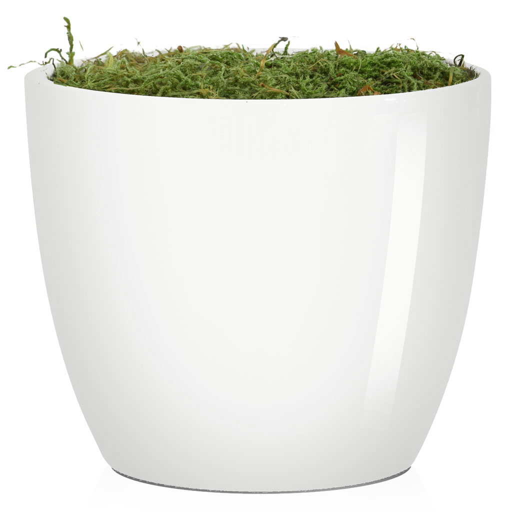 V-Pot N-Ceramic - White (11cm)