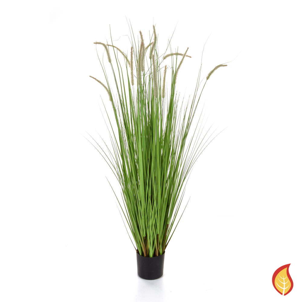 180cm Dogtail Grass E with pot (Fire Resistant)