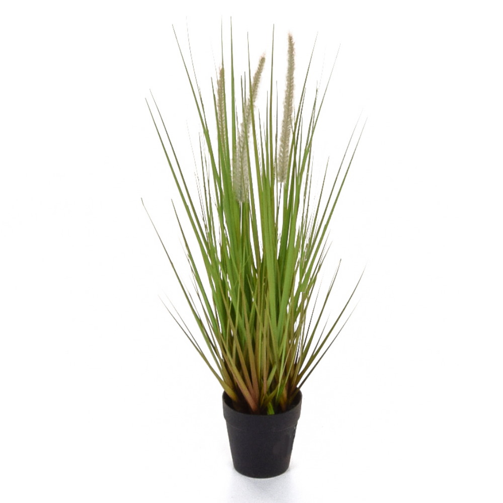 52cm Dogtail Grass with Pot (Fire Resistant)