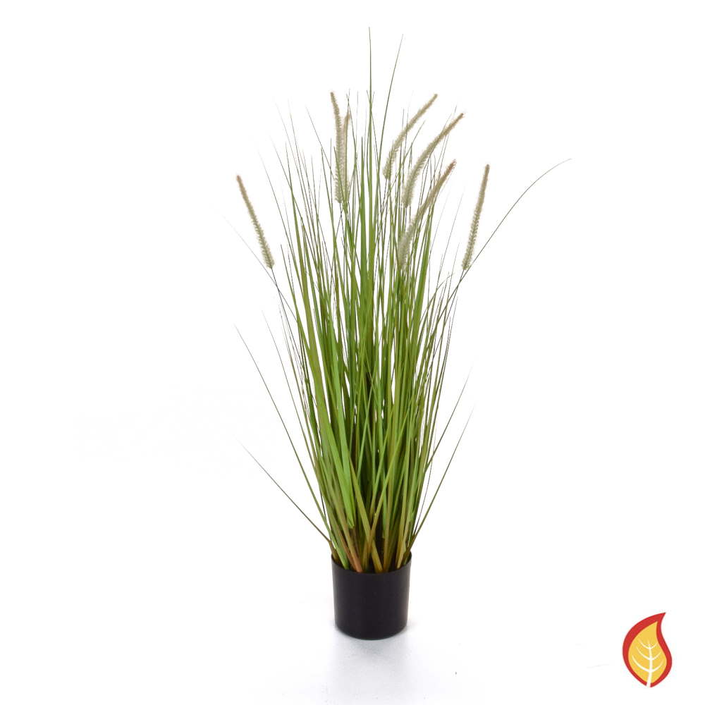 90cm Dogtail Grass with Pot (Fire Resistant)