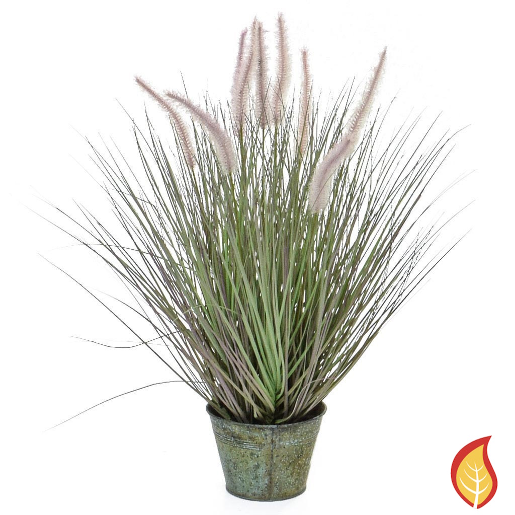 114cm Grass Dogtail Grass With Metal Pot (Fire Resistant)