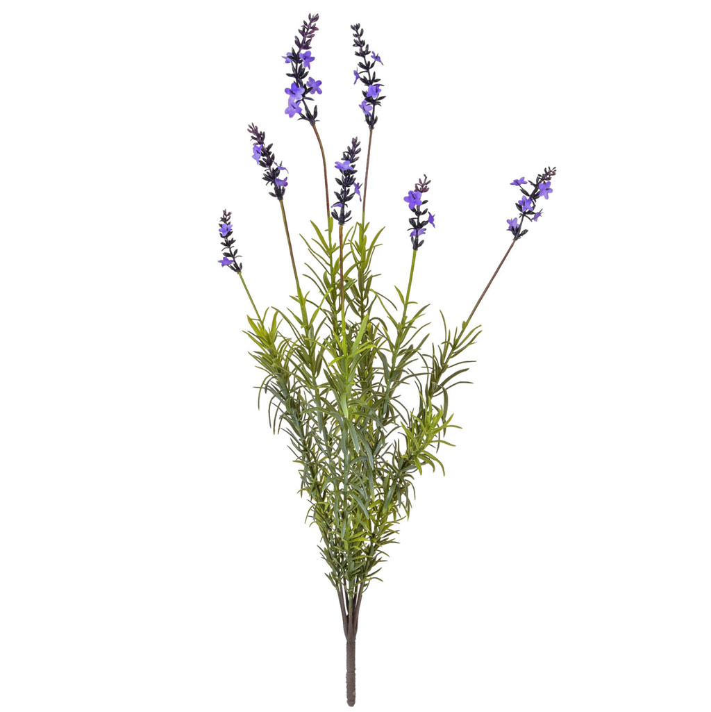 56cm Lavender Bush