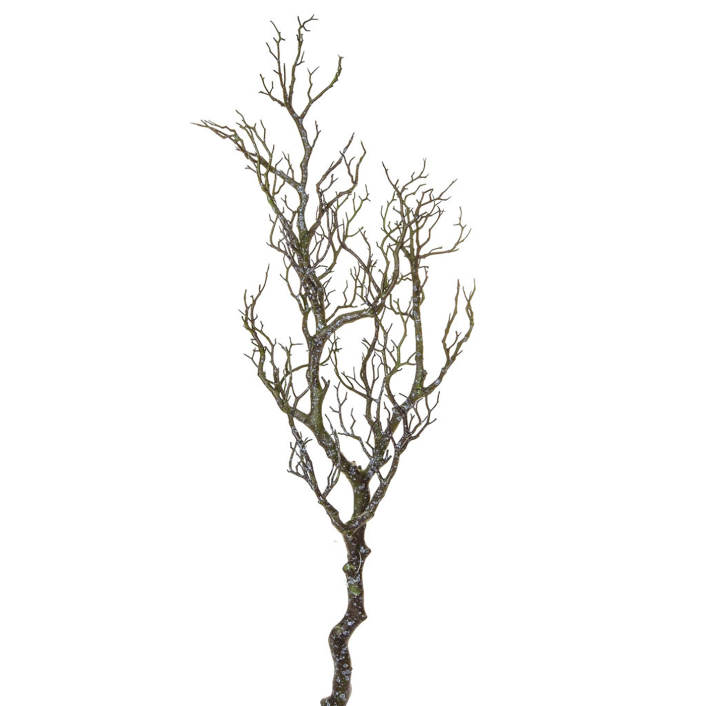 96cm Wood Green Branch