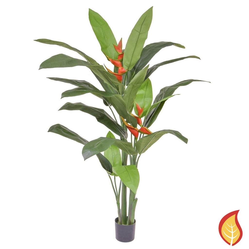 6ft (170cm) Palm Heliconia (Fire Resistant)
