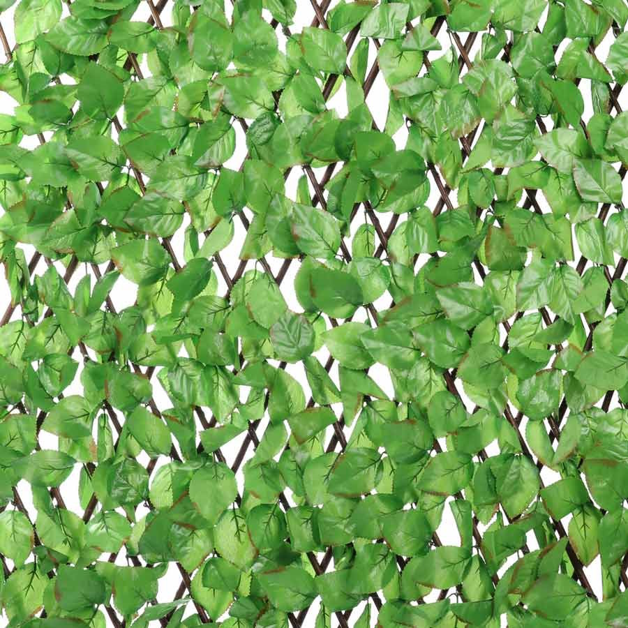 200cm x 100cm Beech Leaf Trellis