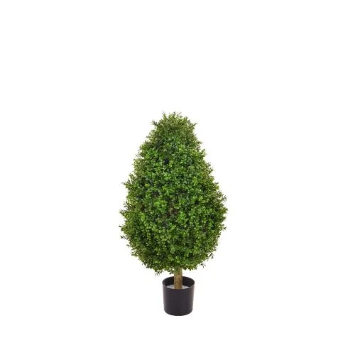 2ft (60cm) Topiary Buxus (Boxwood) Tower (UV Resistant)