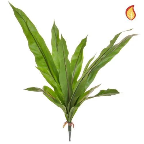 83cm Plants Bird Nest Fern (Fire Resistant)