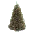 6 ft Christmas Trees