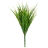 Grasses
