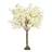 MultiBranch Trees