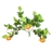 Branches Multibranch