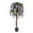 Wisteria Trees
