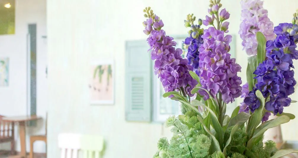 Wisteria flowers in kitchen