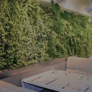 Living wall hedging in garden