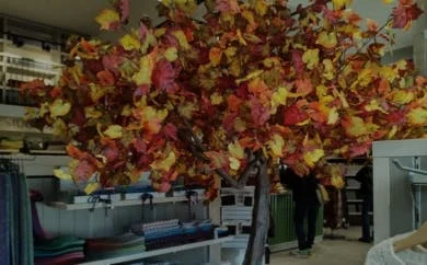 Multi Branch Autumn Tree
