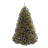 6 ft Christmas Trees